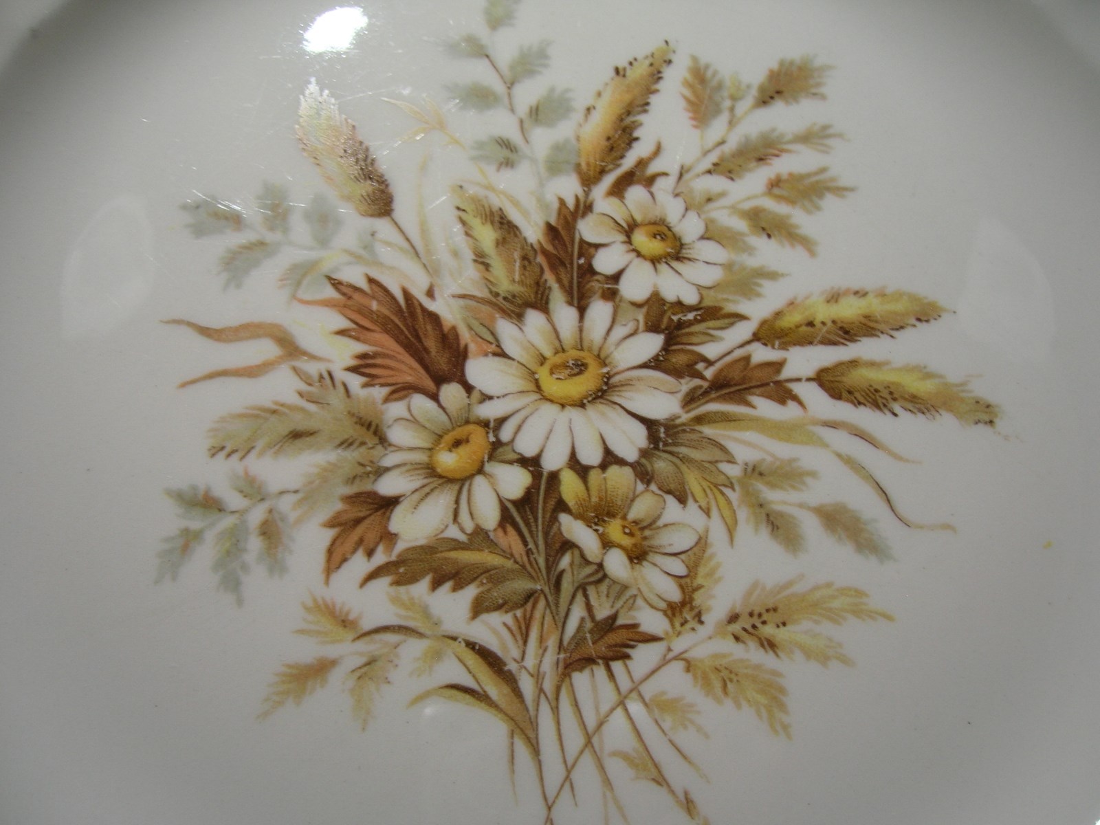 American Limoges Sundale Tudor 22K Scalloped Gold Lace Edge  Dinner Plates