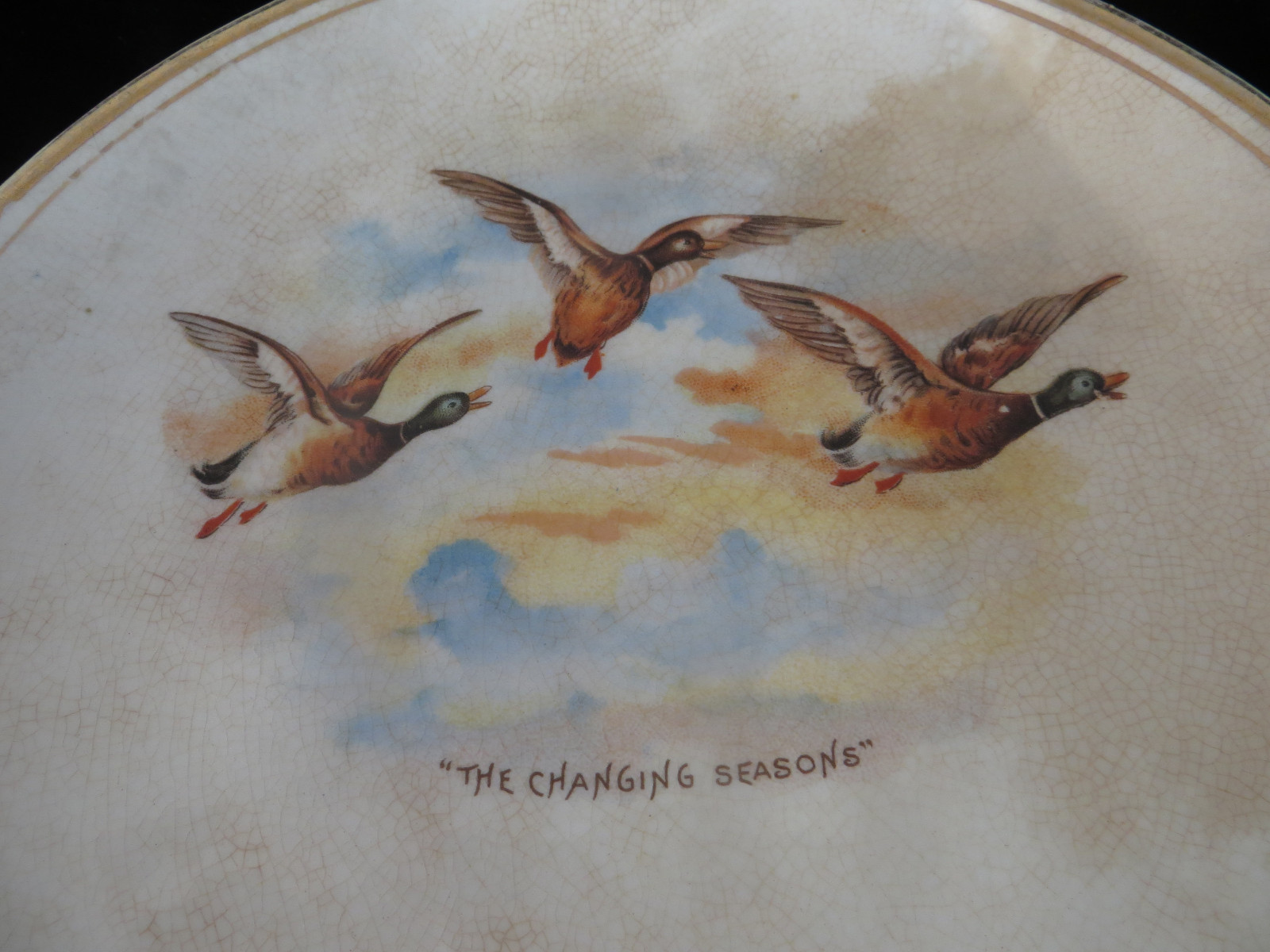 Vintage Advertising Plate -  Annual Creetings Moser Merc. Co. - Mallard Ducks