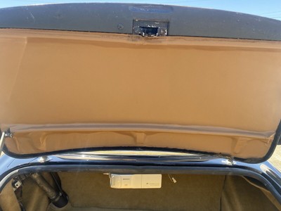 image 4 of interior