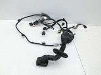 Renault Megane III CC 08-12 Cabriolet Kabelbaum für Tür und Fensterheber Rechts Vorne Renault Megane III CC 08-12... Vorschau 1