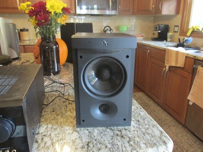infinity rs1 bookshelf speakers
