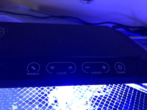 KESSIL AP700 LED WIFI AQUARIUM LIGHT - OPEN BOX Used 3 Months