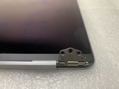 MacBook Pro A1989 A2159 13" 2018 2019 LCD Assembly SPACE GRAY 661-10037 Grade B