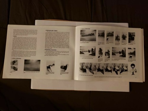 L@@K BOB ROSS INC.  BOB ROSS JOY OF PAINTING VOLUME 8 W@W