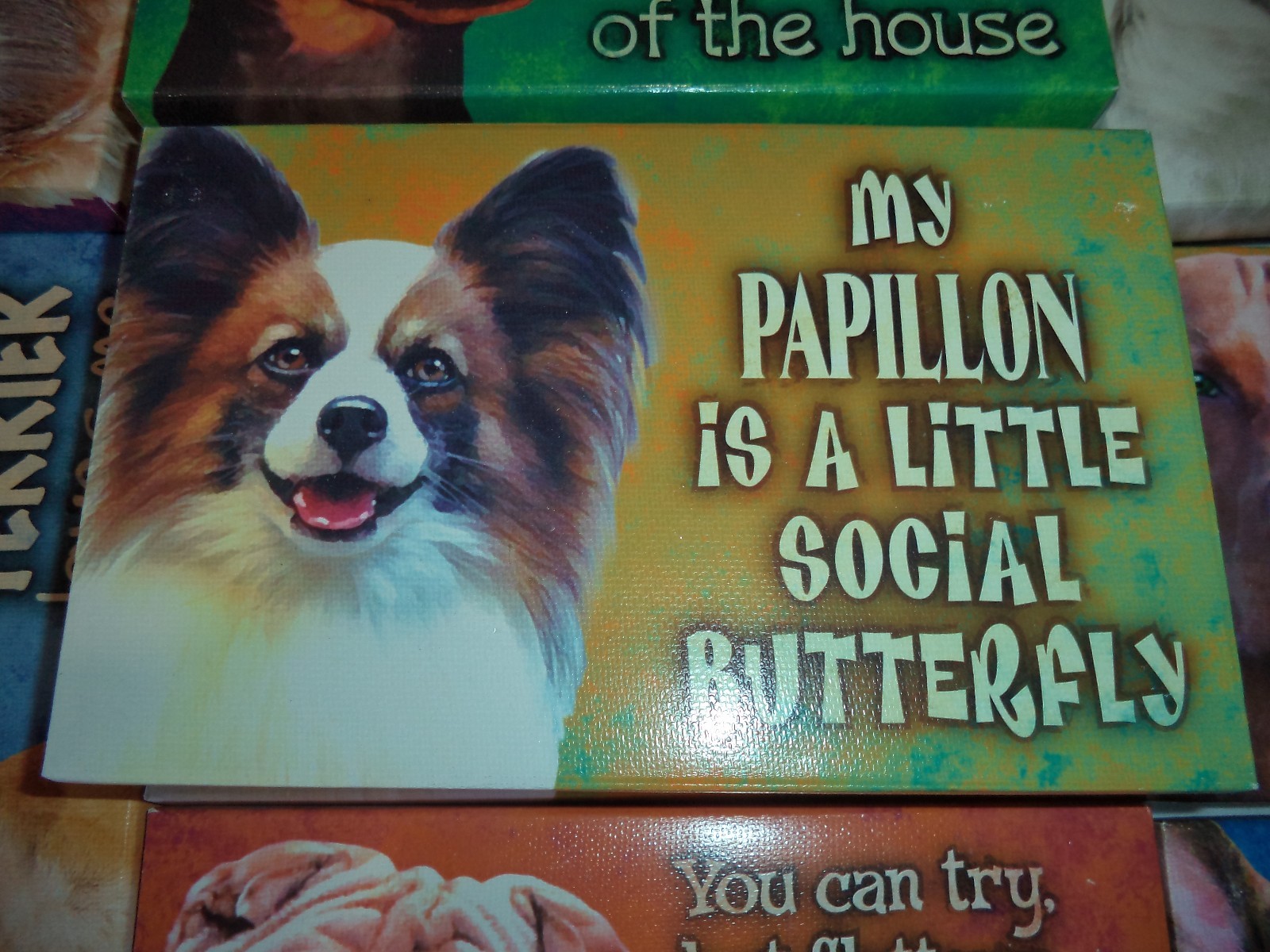 PRECIOUS PRINTS BY SCANDICAL - VARIOUS DOG BREEDS - PAPILLON, SHARPEI, MASTIF #4