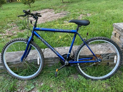 roadmaster mt sport sx torque 18 speed price