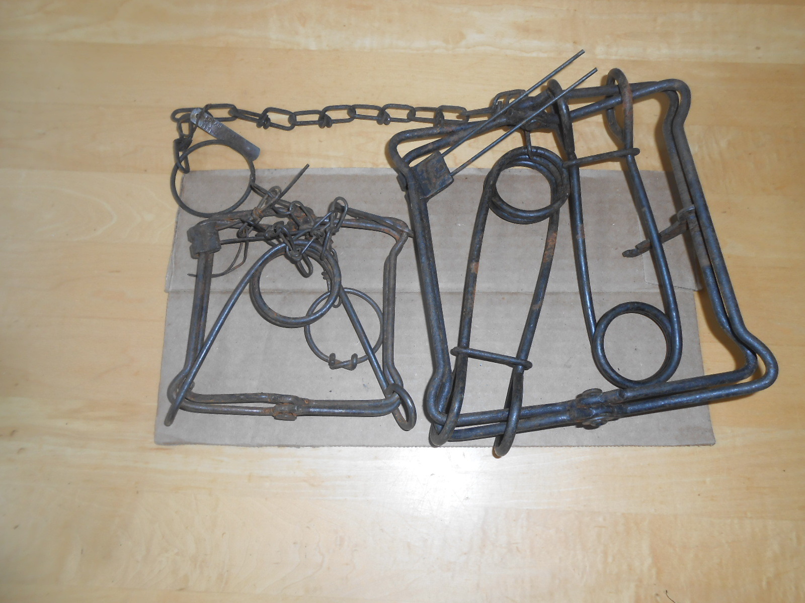 TWO CONBEARS TRAPS BODY TRAP 220 & 110 TRAPPING