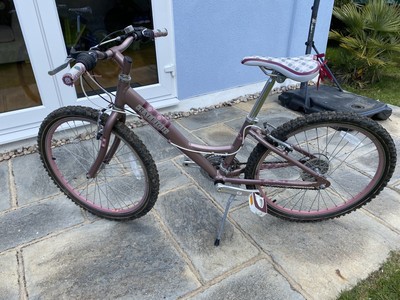 Raleigh Swift Bike 24 Inch 