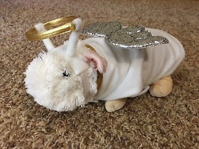 Guinea Pig/Small Animal Costume/Clothes*Angel*Holiday*Halo & Wings*Outfit