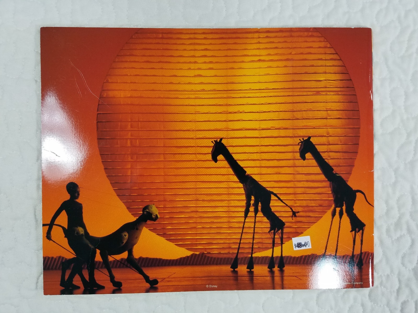 Disney Presents The Lion King Broadway Musical Photo Book Souvenir Memorabilia