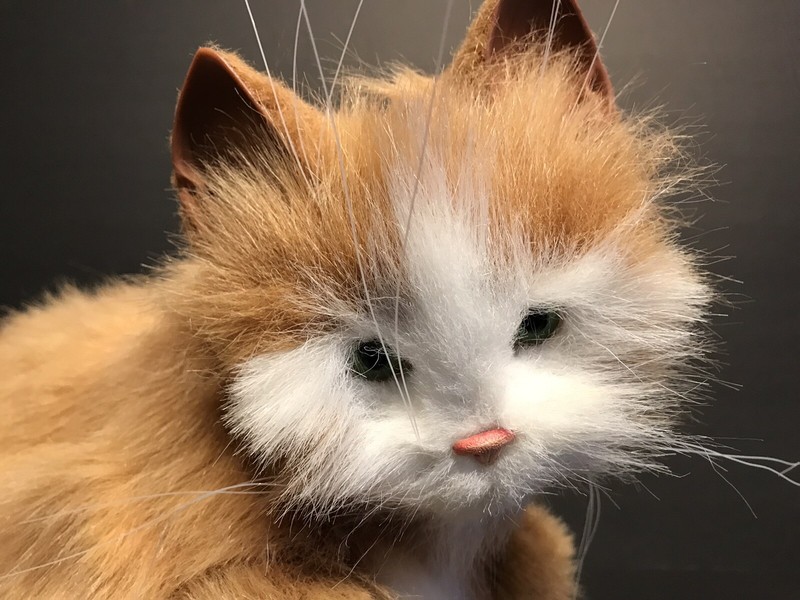 furreal friends 2002