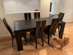 Black Wooden Dining Table with 6 Cushioned Chairs | Dining Tables
