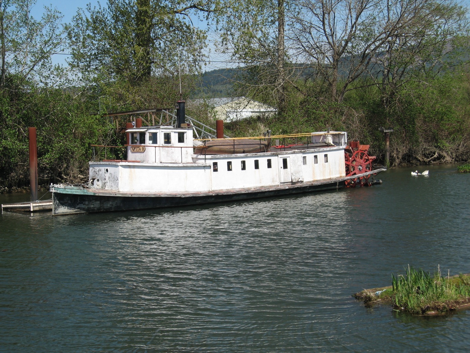 Classic 61 foot stern paddlewheel river boat USA