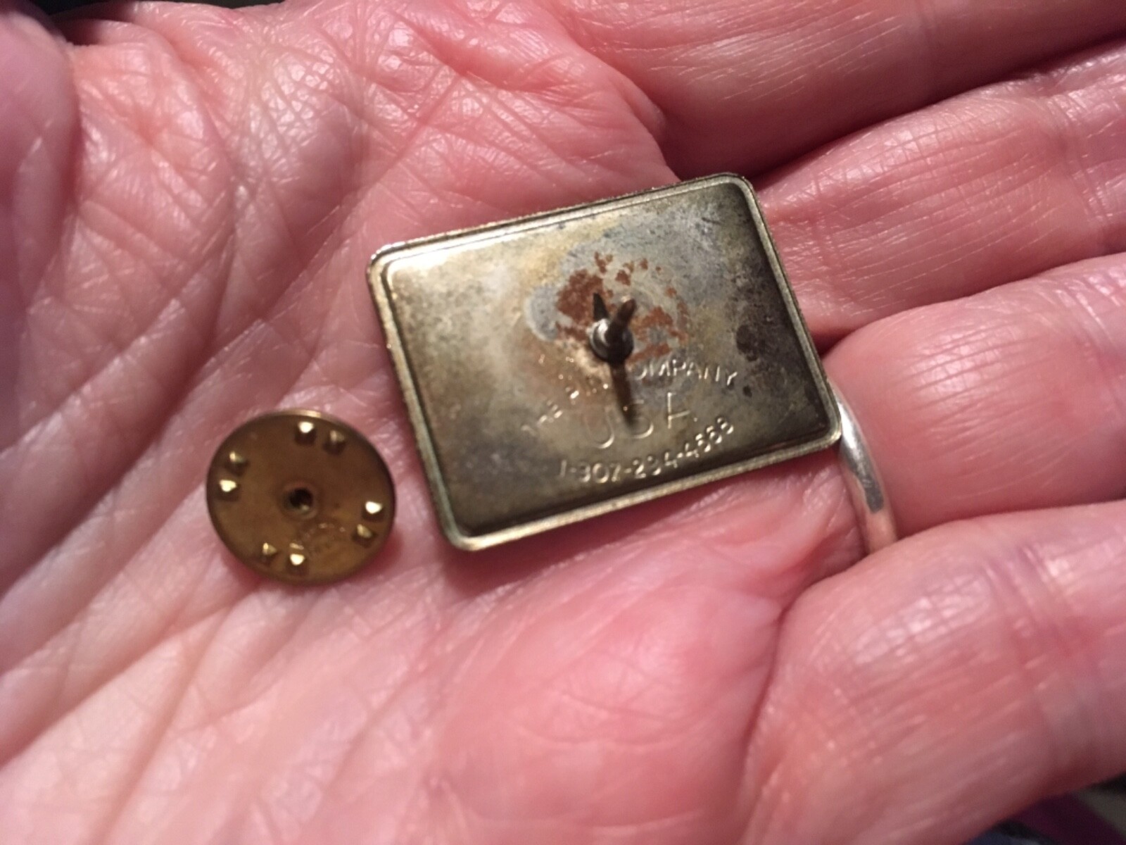 Lombardy Tigers Brandywine School District DELAWARE