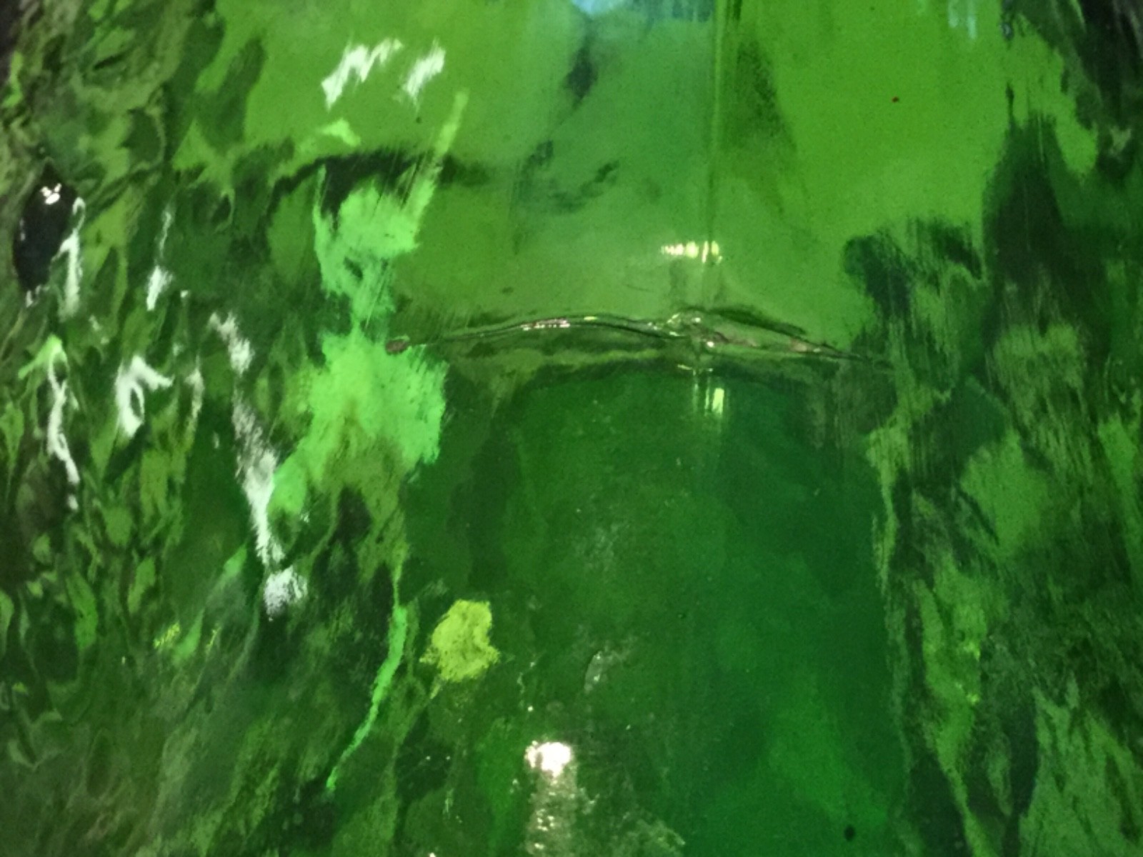 Democratic Campaign Bottle 1969 Humphrey Muskie in original box