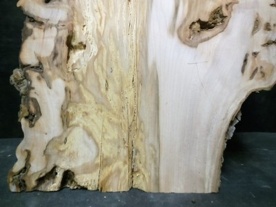 S-151_ Georgeous Ambrosia Maple Burl Slab 57