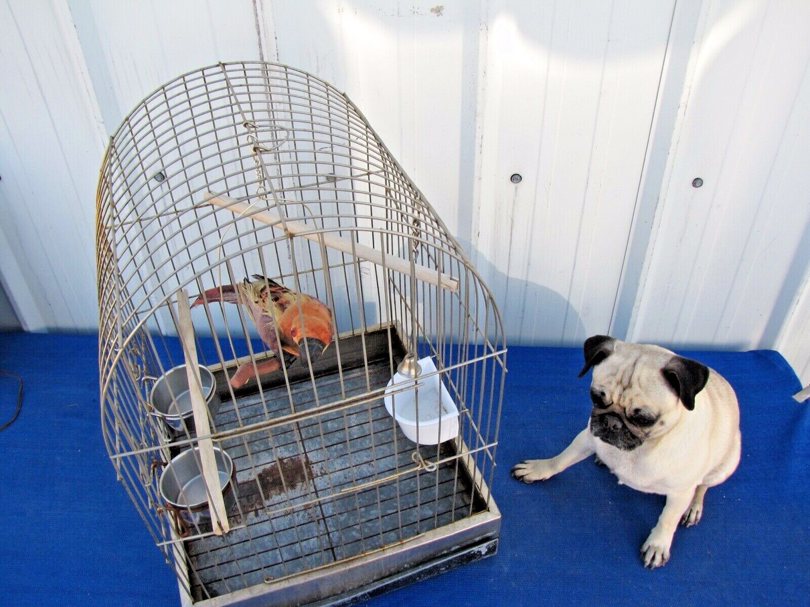 Vintage Metal Bird Cage Square Dome Top 17