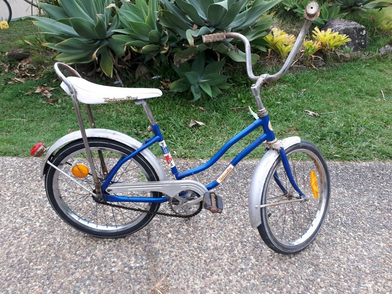 malvern star 20 inch