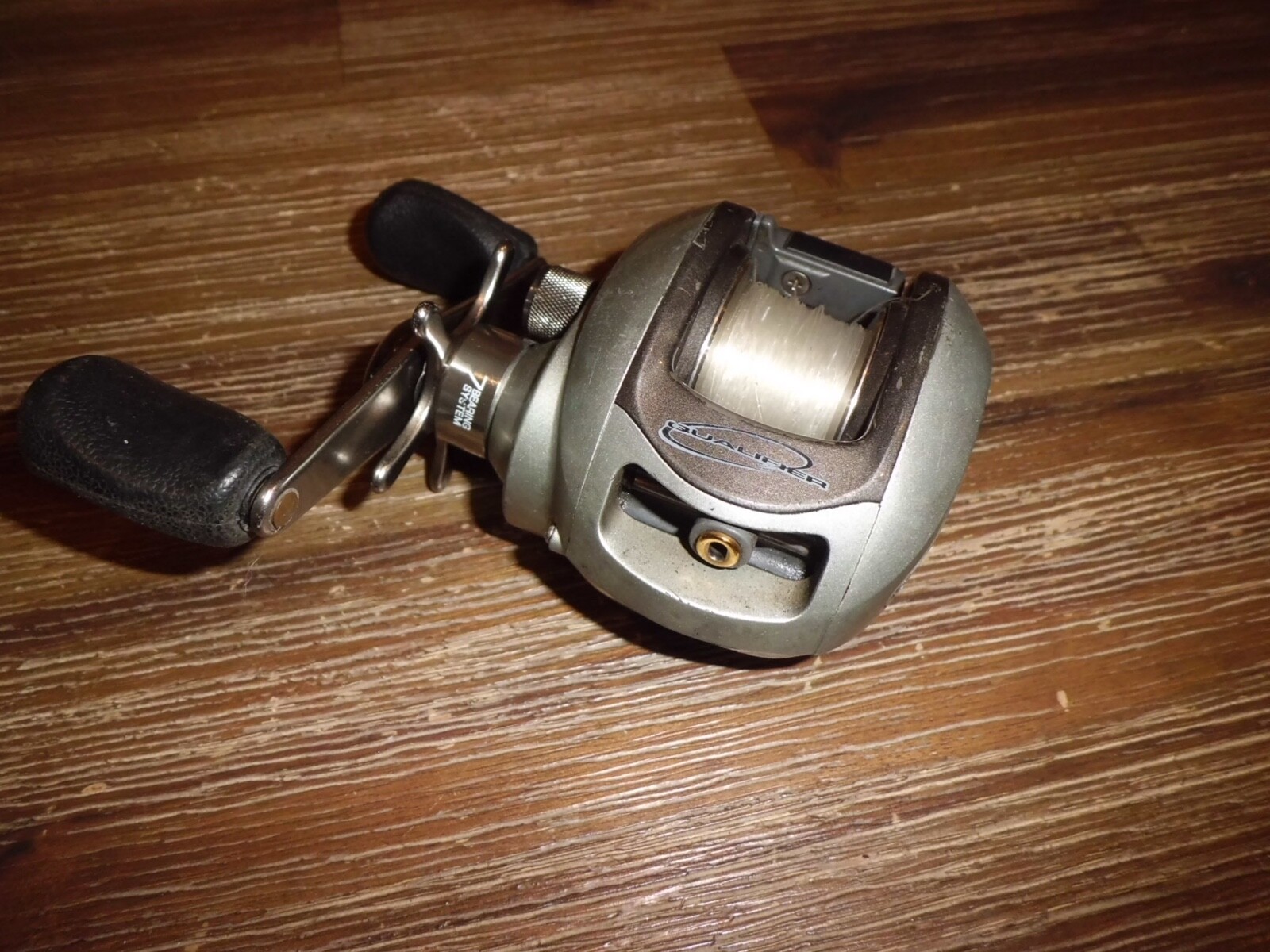 BASS PRO SHOPS Pro Qualifier PQX10HB Baitcasting Reel | eBay
