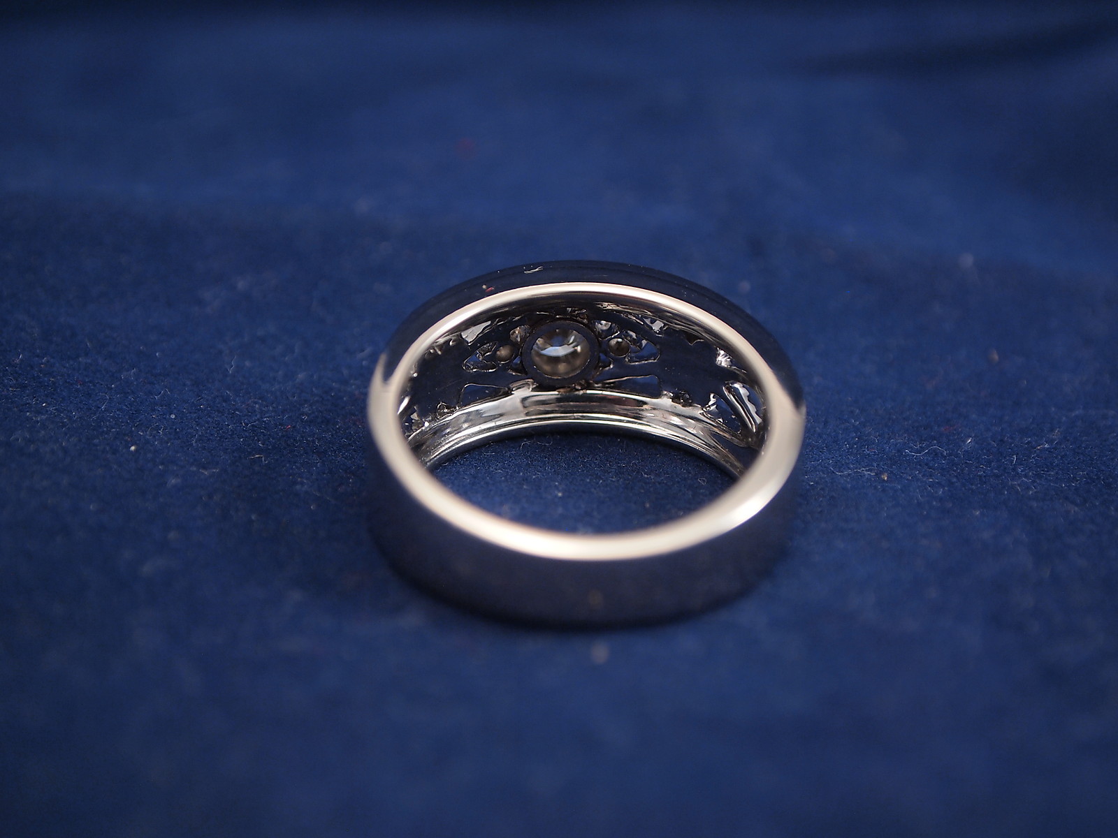 %24_57.JPG?set_id=880000500F