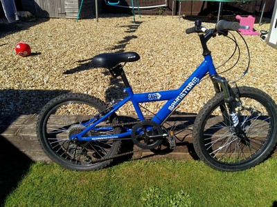 boys 20 inch bike