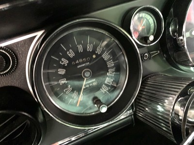 image 21 of interior