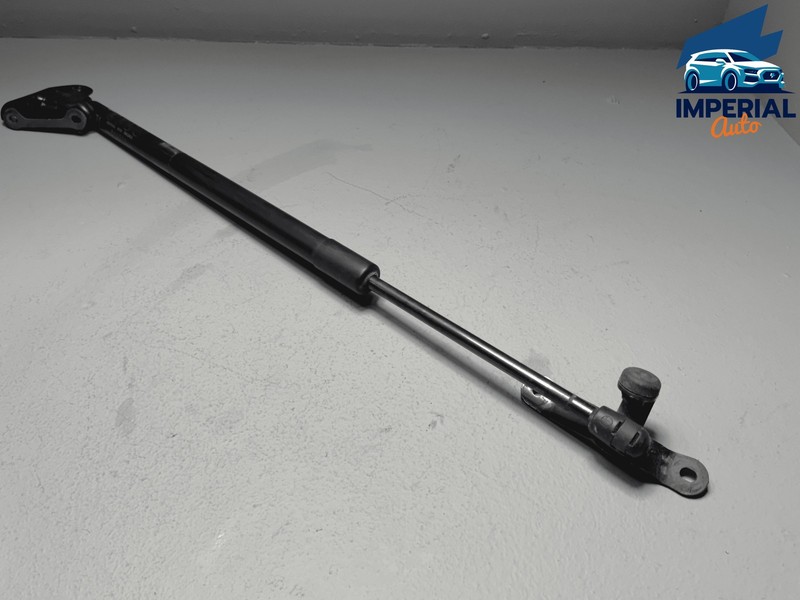 Used 2019-2025 Toyota RAV4 Tailgate Liftgate Driver Side Lift Support Cylinder OEM