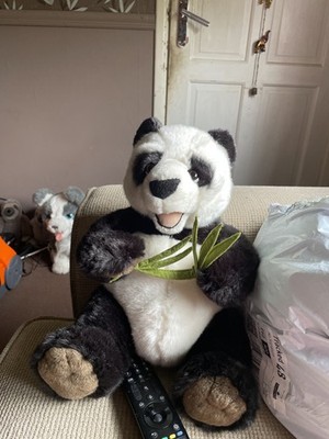 經驗證買家提供的物品圖片