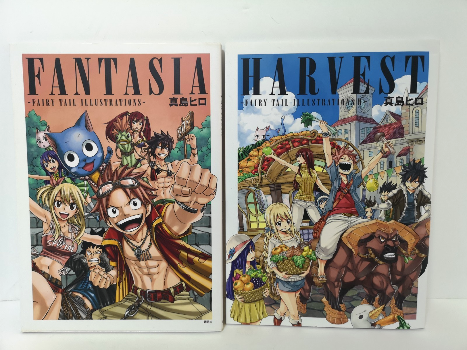 FAIRY TAIL イラスト集 FANTASIA & HARVEST $_57.PNG?set_id=880000500F