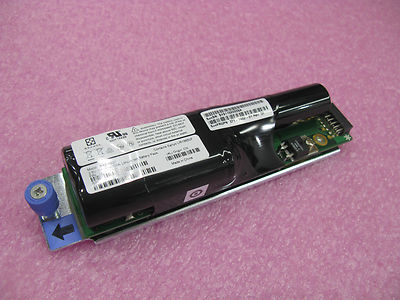 洋書 Mur de l'Atlantique: Batteries Elxjar (5-Pack) 4.8V 1000Mah Ni-Cd Battery Pack Replacement