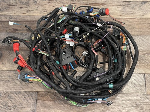 その他 Gato $_12.JPG?set_id=880000500F