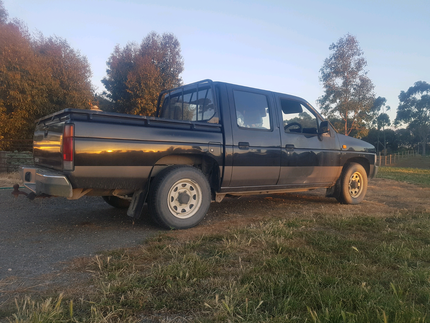 Nissan navara d21
