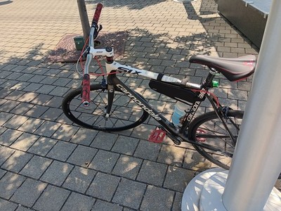 Artikelfoto(s) von einem verifizierten Käufer