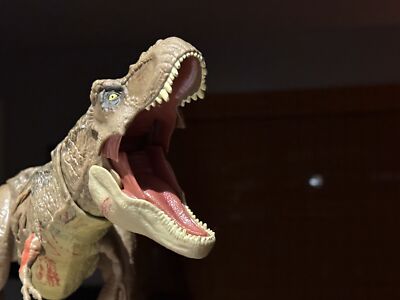 Foto dell'oggetto di un acquirente verificato
