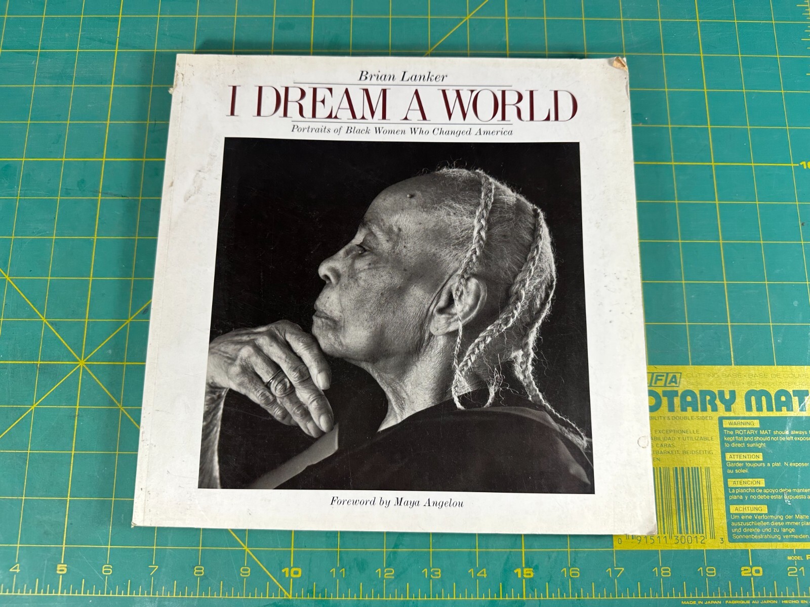 I Dream a World: Portraits of Black Women Who Changed