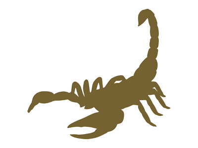 Scorpion Silhouette Scorpio Car Vinyl Decal Water Bottle Tumbler Vehicle Sticker