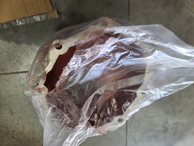 Item photo(s) from verified buyer