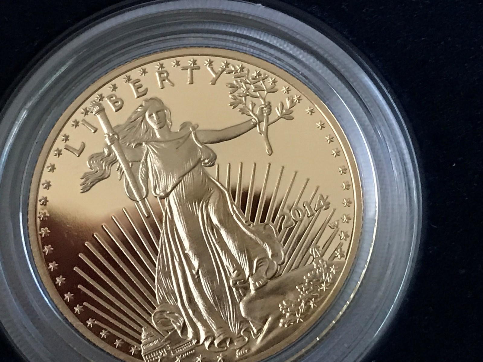 2014-W American Gold Eagle Proof (1/2 oz) $25 in OGP box LOW MINTAGE