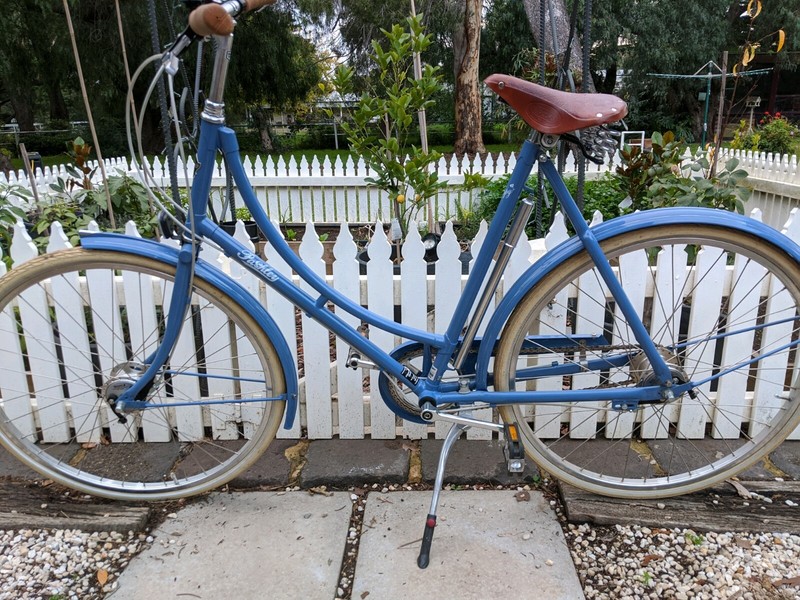 gumtree pashley