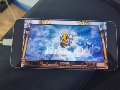 Artikelfoto(s) von einem verifizierten Käufer