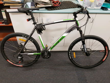 avanti montari 1 price