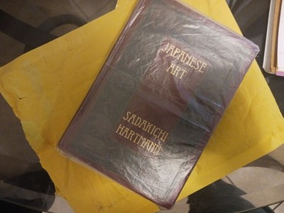Foto dell'oggetto di un acquirente verificato