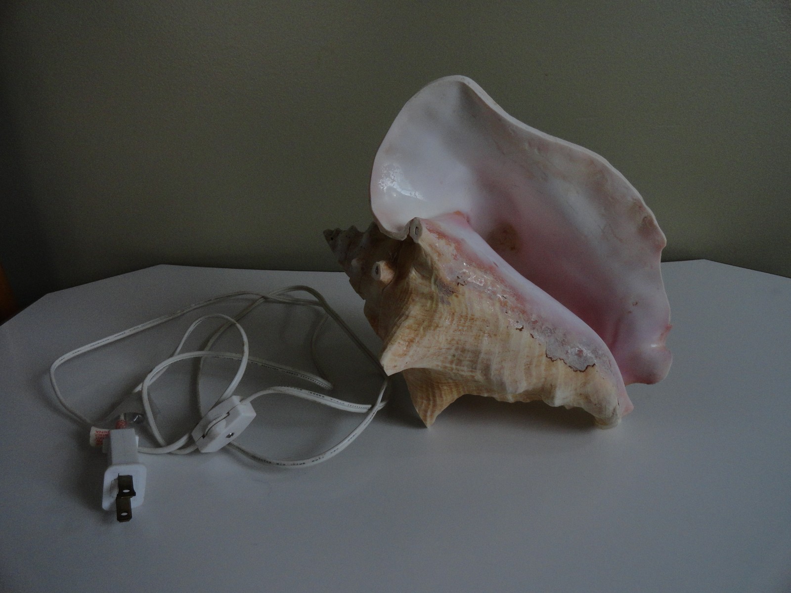 Vintage Large Conch Pink glowing Seashell Sea Shell TV Night Light 9