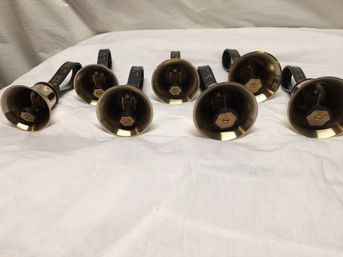 Schulmerich Handbells-complete 2nd Octave-12 Bells in a case-plus New Springs