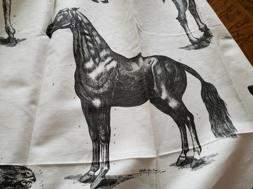 GASTON y DANIELA / BRUNSCHWIG Fabric Remnant - HORSES - 63