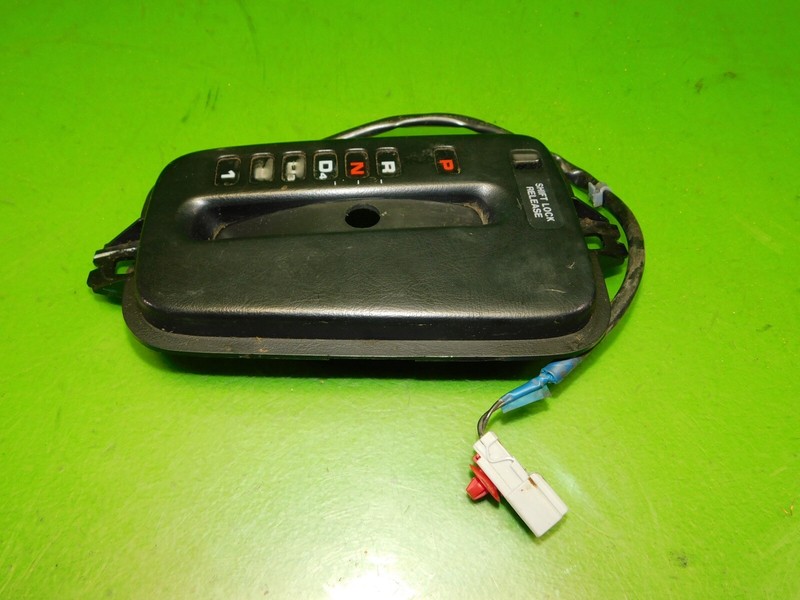 Picture 3