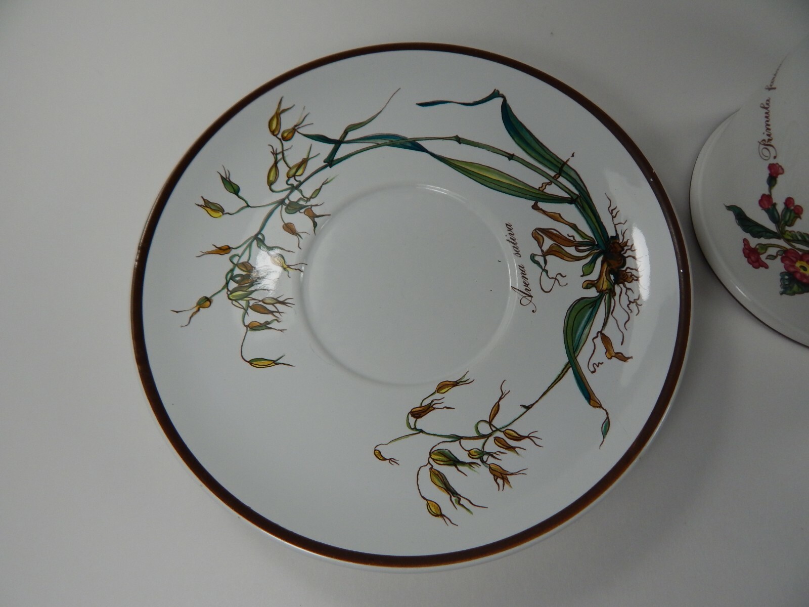 Vintage Villeroy & Boch Cup Mug Botanica Primula Farinosa. 10-11oz