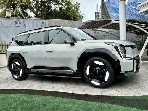 Fotos del artículo de un comprador verificado