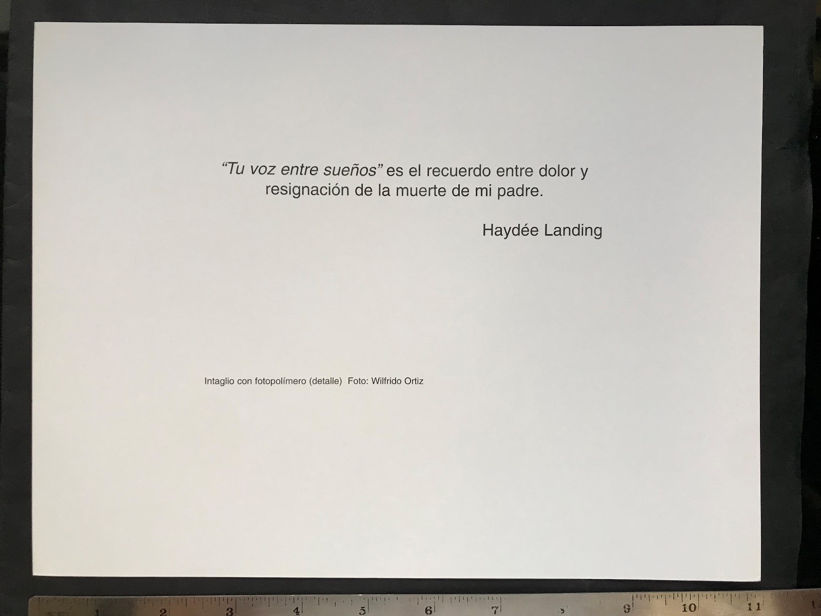 Puerto Rico ca2000s Tu Voz entre Sueno Haydee Landing separata arte Revista ICP