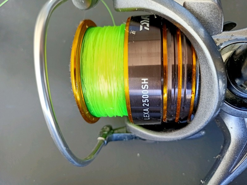 daiwa lexa 2500sh